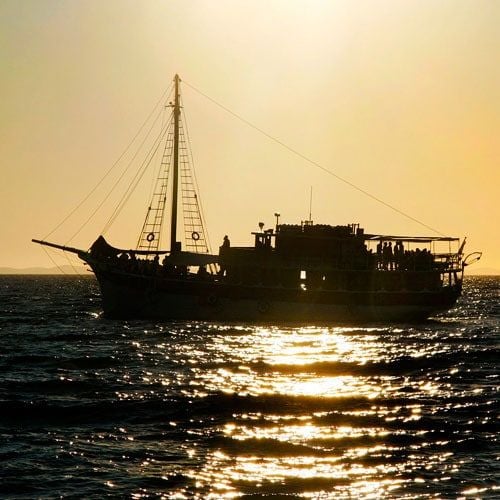 Can’t Live Without