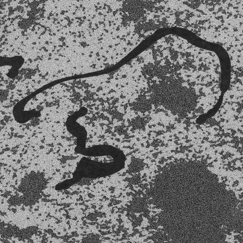 Reach Out For Your Life