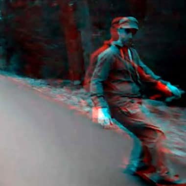 Lupa Music Disregards