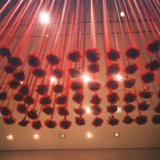 The Highest Pleasure