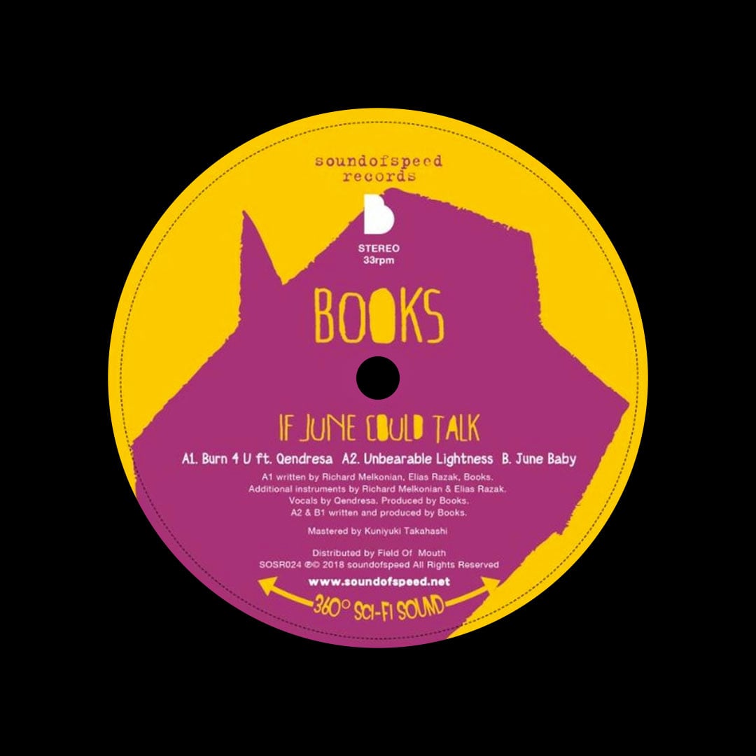 Books - If June Could Talk - 12