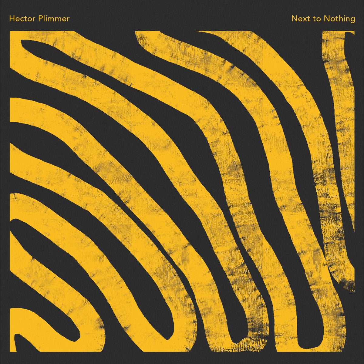 Hector Plimmer - Next To Nothing - lp