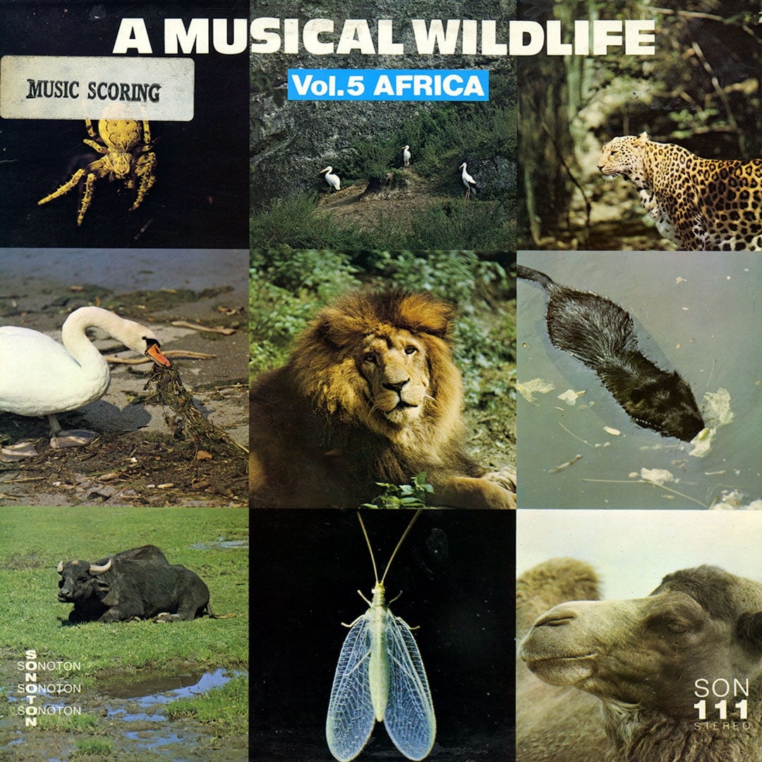 Claude Larson - A Musical Wildelife, Vol. 5 Africa - original
