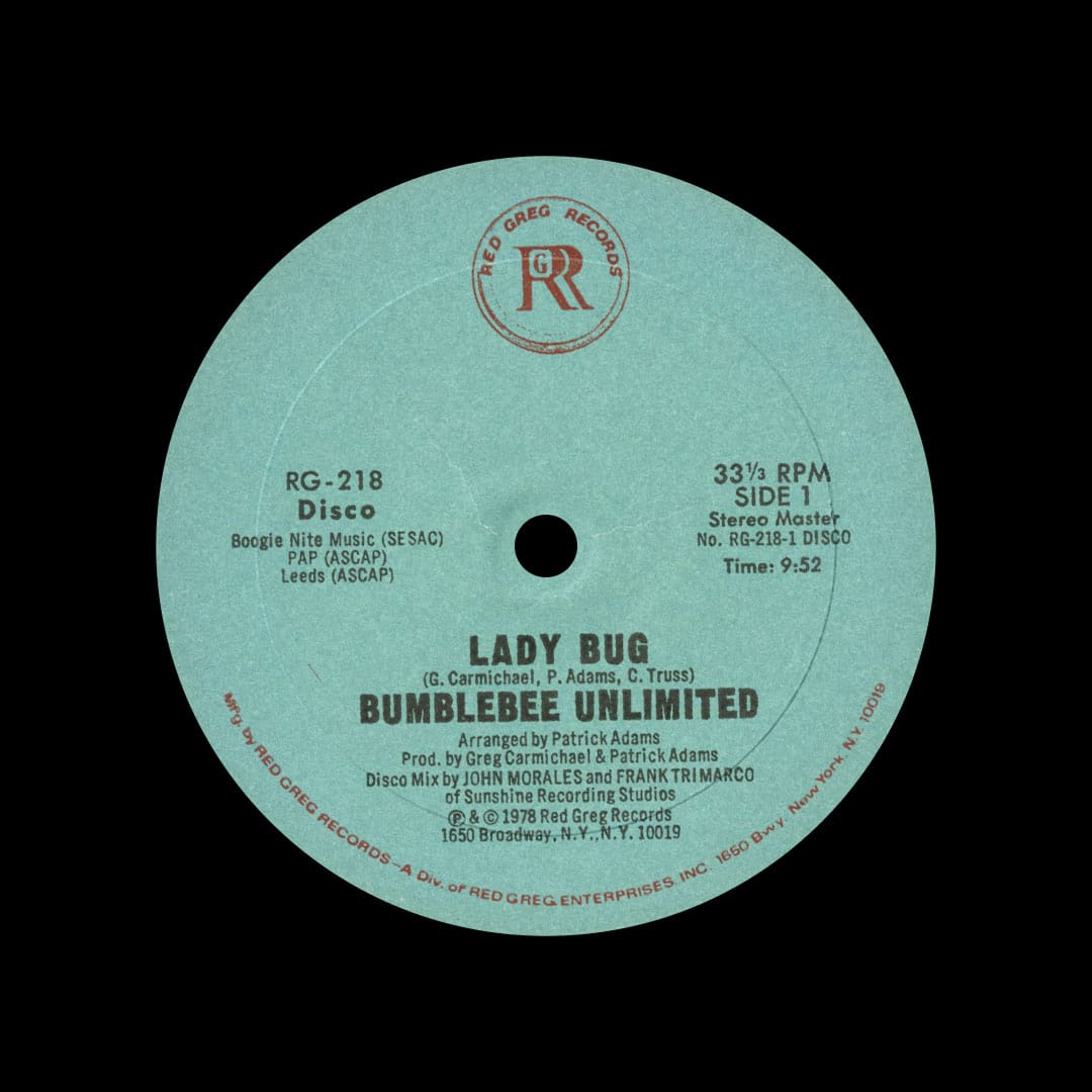 Bumblebee Unlimited - Lady Bug - 12