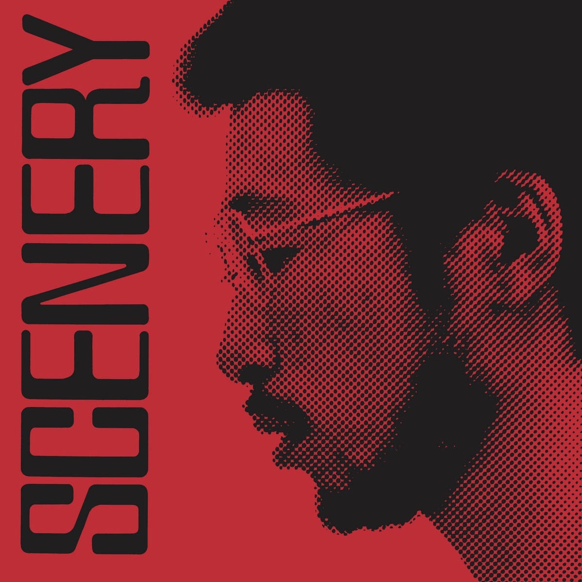 Ryo Fukui - Scenery - lp