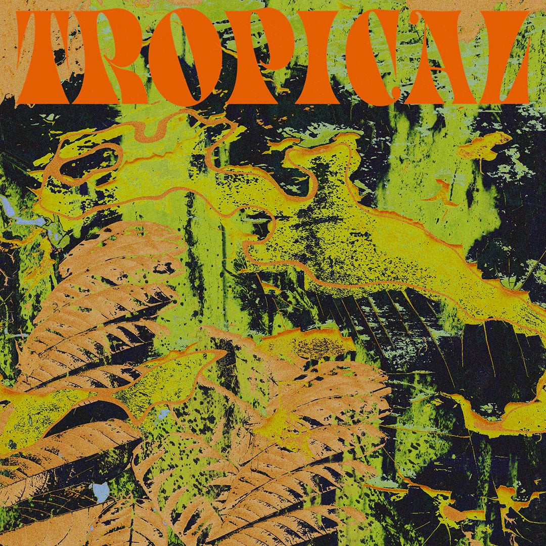 CV Vision - Tropical - lp