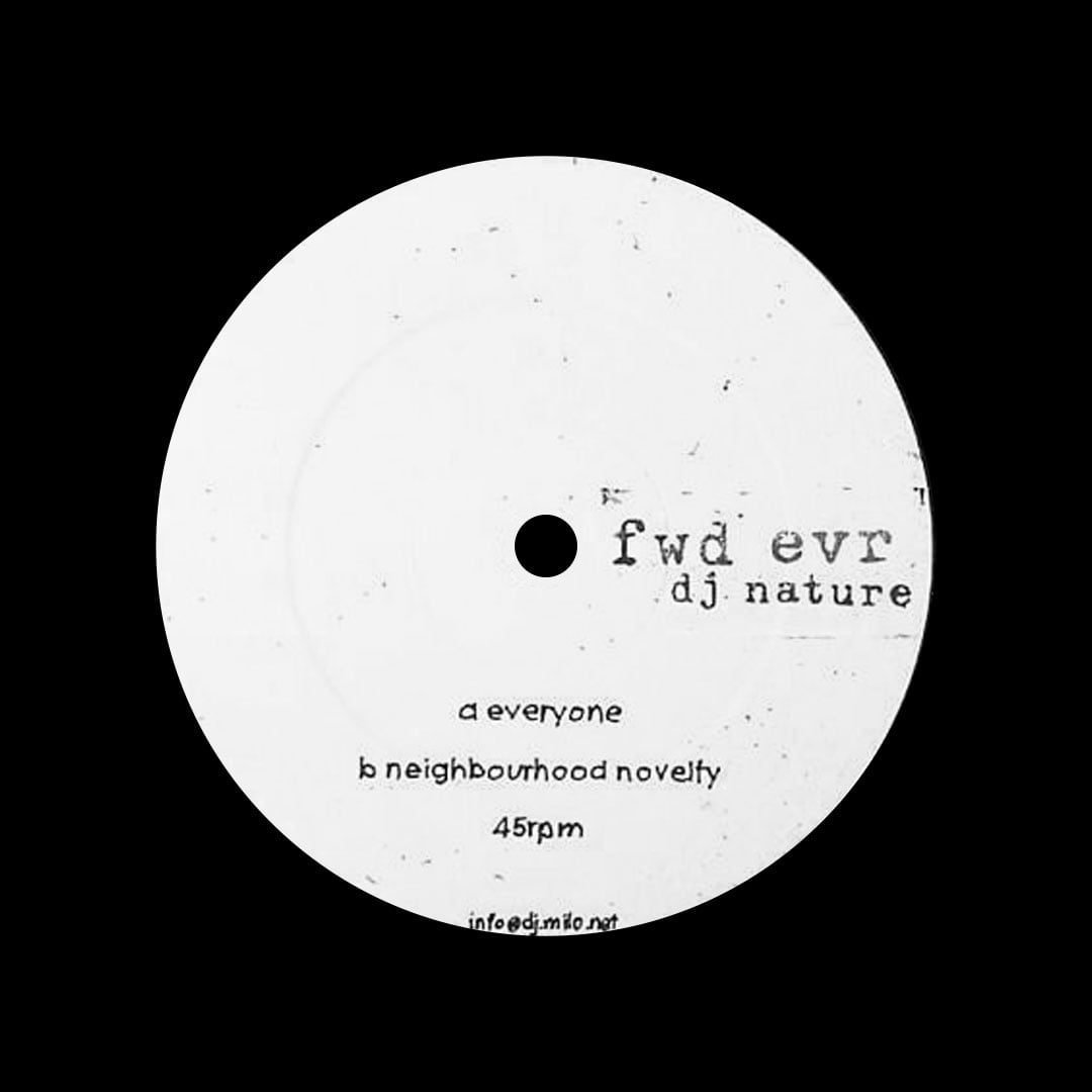 DJ Nature - Everyone / Neighborhood Novelty - 12