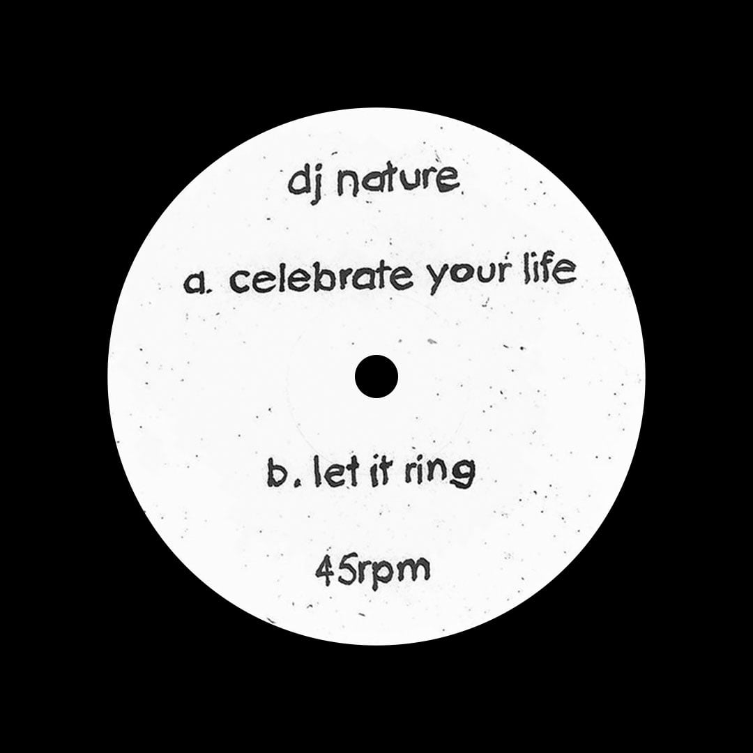 DJ Nature - Celebrate Your Life / Let It Ring - 12