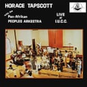 Desert Fairy Princess