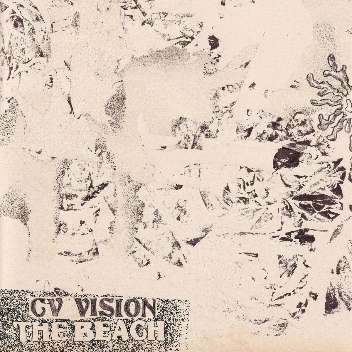 CV Vision - The Beach - lp