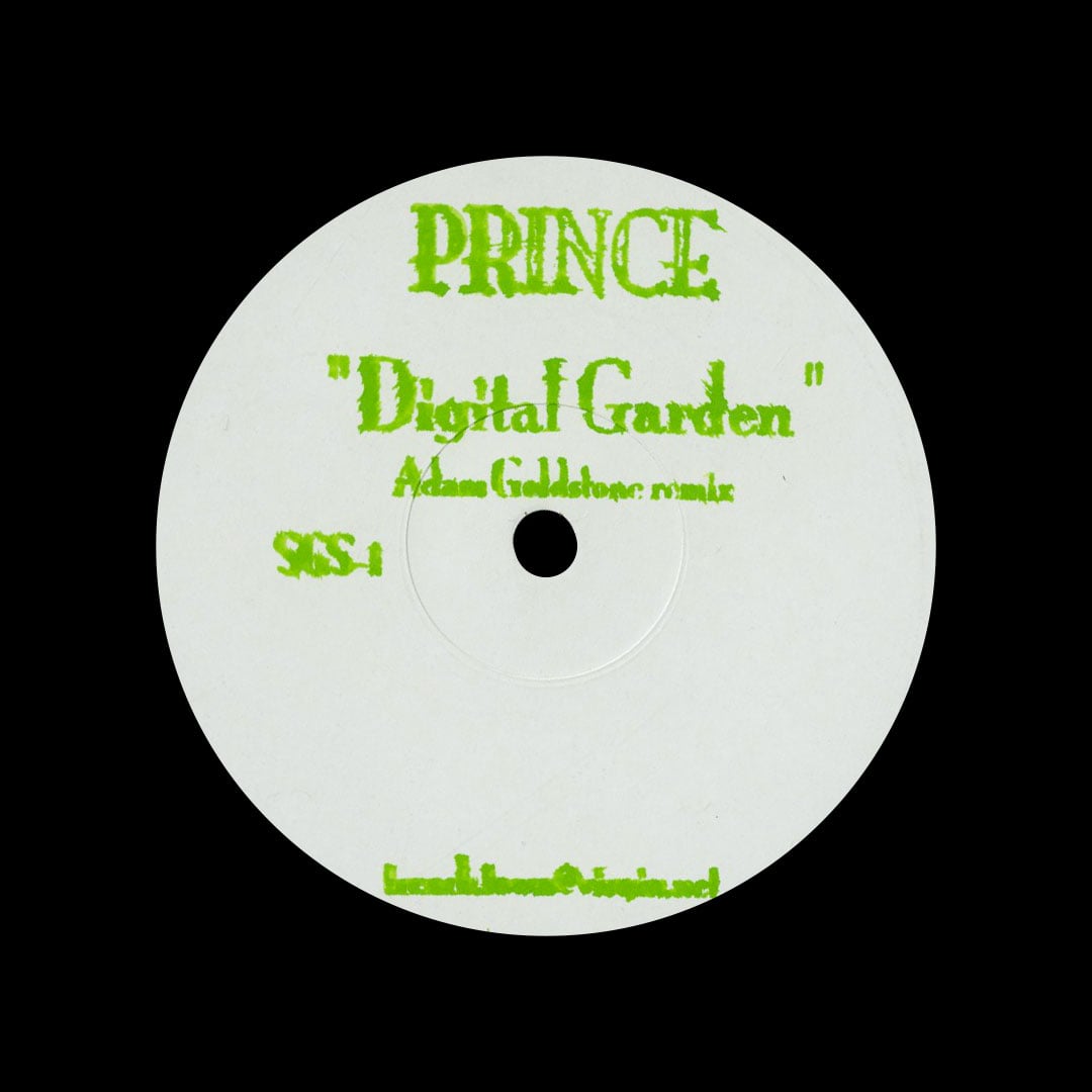 Prince - Digital Garden (remix) - 12