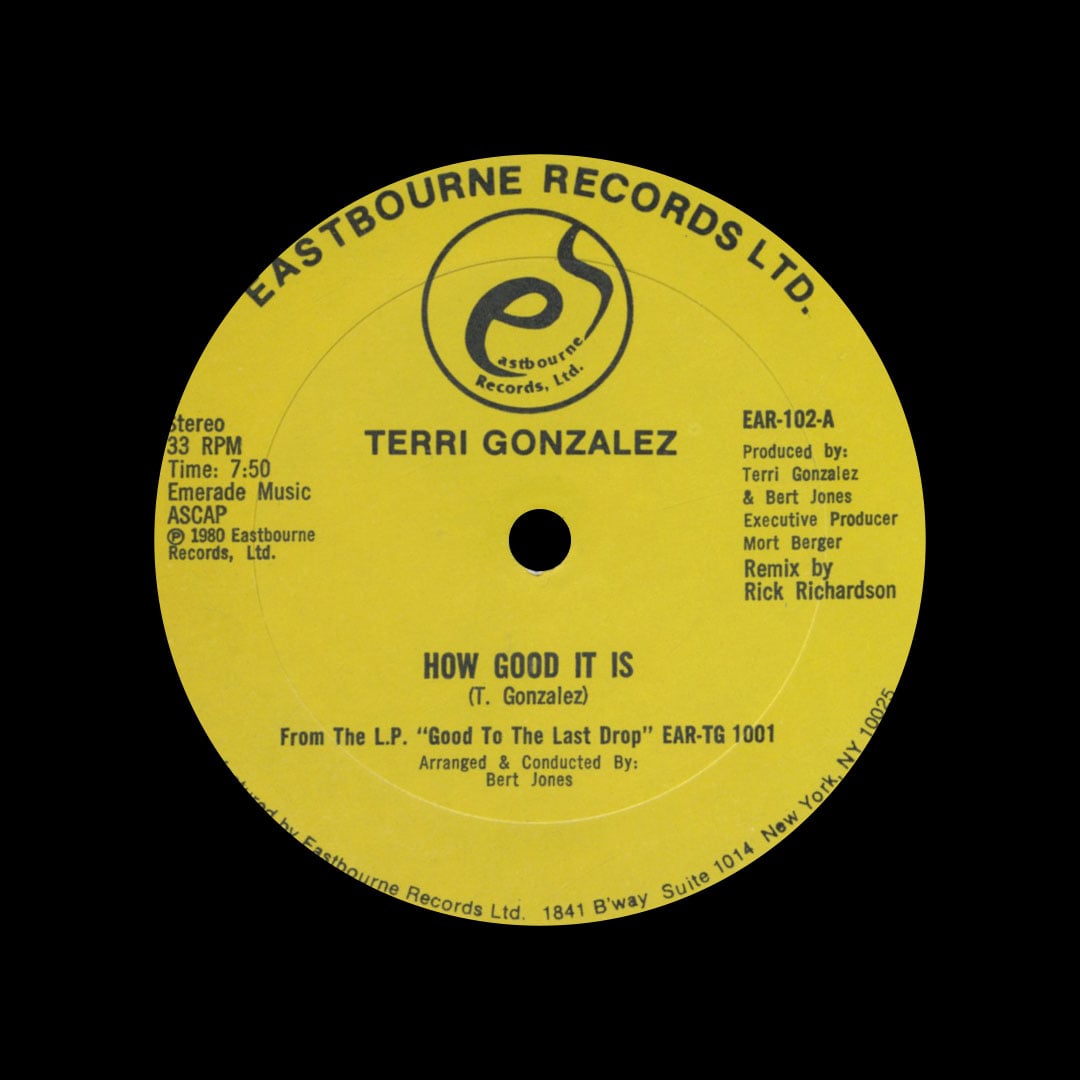 Terri Gonzalez - How Good It Is / Caught Up - 12